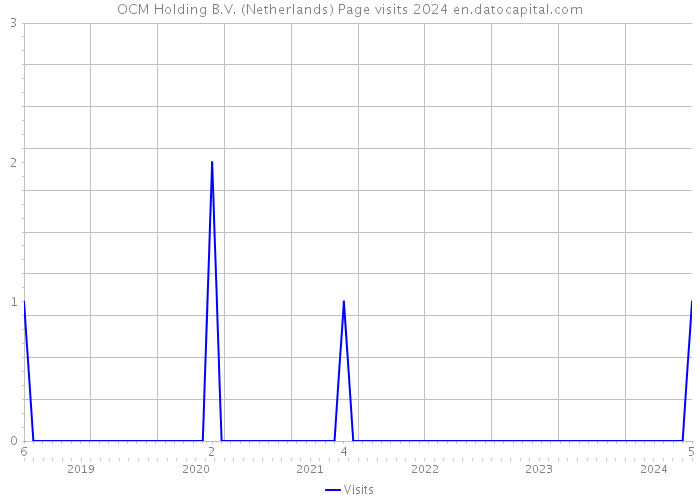 OCM Holding B.V. (Netherlands) Page visits 2024 