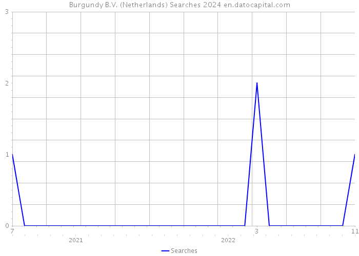 Burgundy B.V. (Netherlands) Searches 2024 