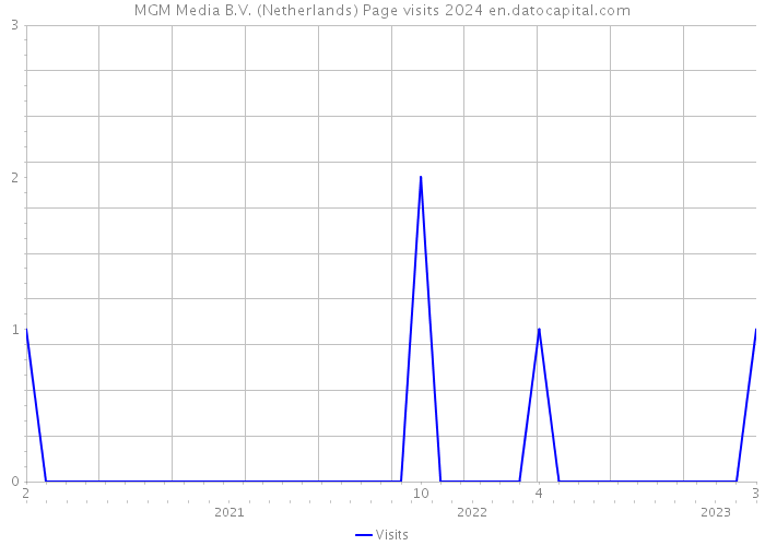 MGM Media B.V. (Netherlands) Page visits 2024 