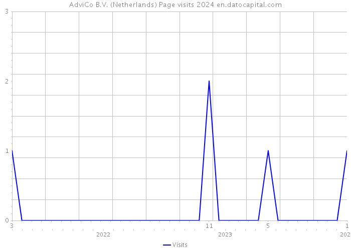 AdviCo B.V. (Netherlands) Page visits 2024 