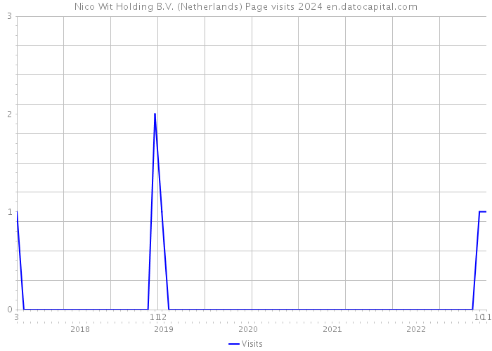Nico Wit Holding B.V. (Netherlands) Page visits 2024 