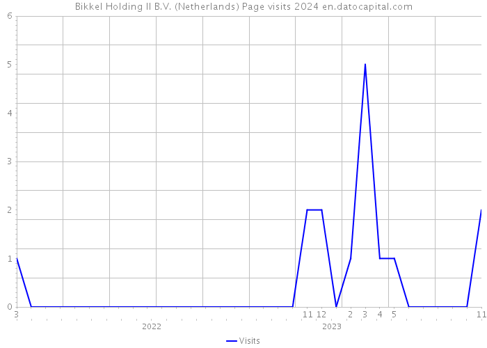 Bikkel Holding II B.V. (Netherlands) Page visits 2024 