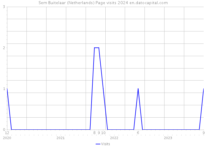 Sem Buitelaar (Netherlands) Page visits 2024 