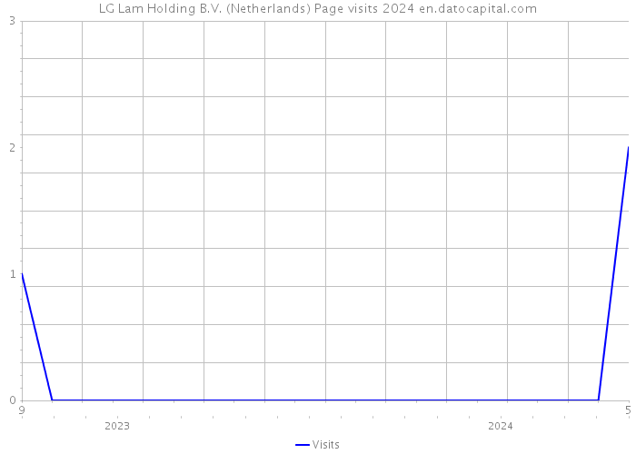 LG Lam Holding B.V. (Netherlands) Page visits 2024 