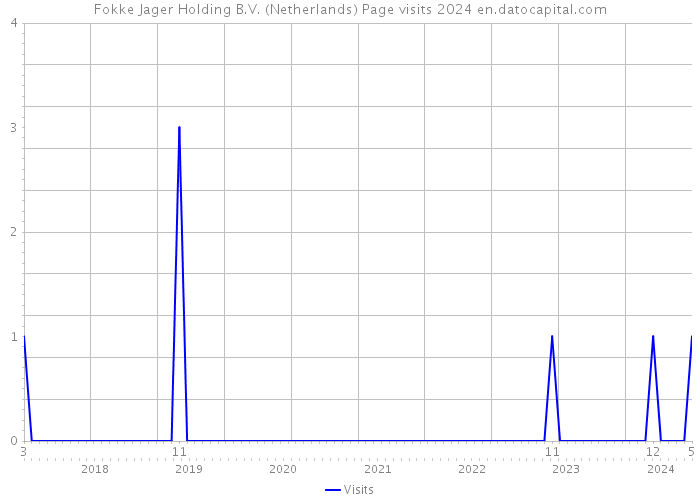 Fokke Jager Holding B.V. (Netherlands) Page visits 2024 