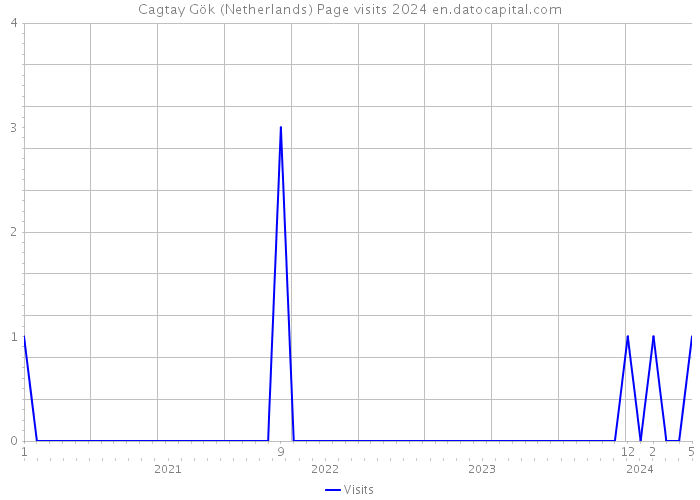 Cagtay Gök (Netherlands) Page visits 2024 