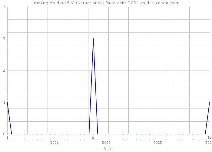 Imming Holding B.V. (Netherlands) Page visits 2024 