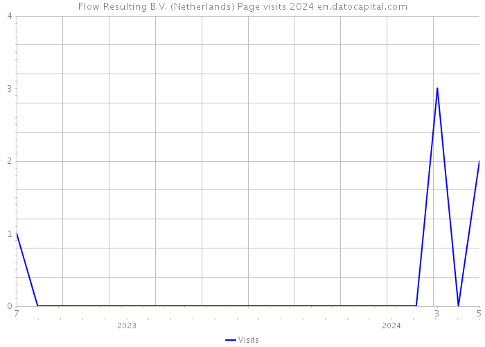Flow Resulting B.V. (Netherlands) Page visits 2024 