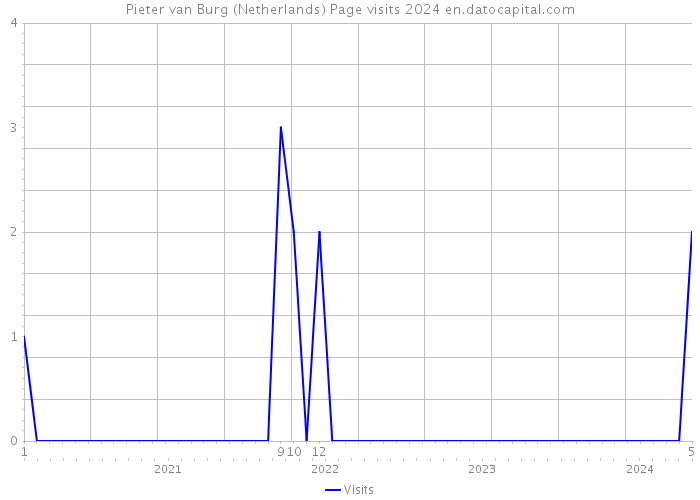 Pieter van Burg (Netherlands) Page visits 2024 