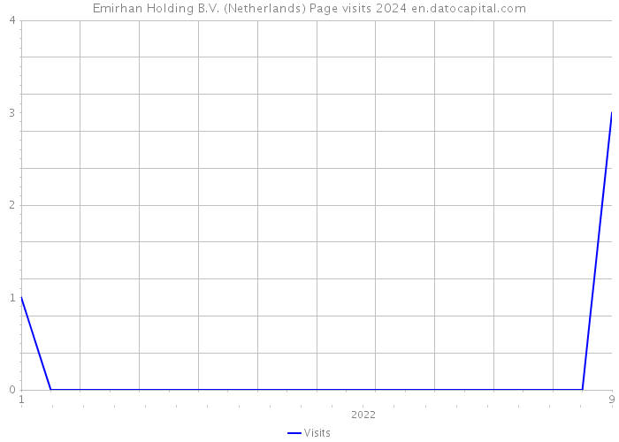 Emirhan Holding B.V. (Netherlands) Page visits 2024 