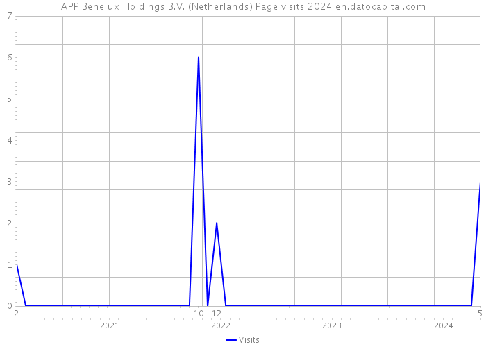 APP Benelux Holdings B.V. (Netherlands) Page visits 2024 