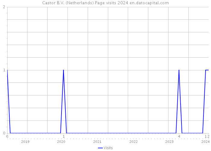 Castor B.V. (Netherlands) Page visits 2024 