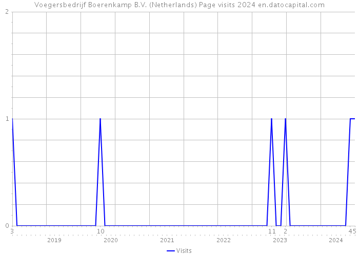 Voegersbedrijf Boerenkamp B.V. (Netherlands) Page visits 2024 