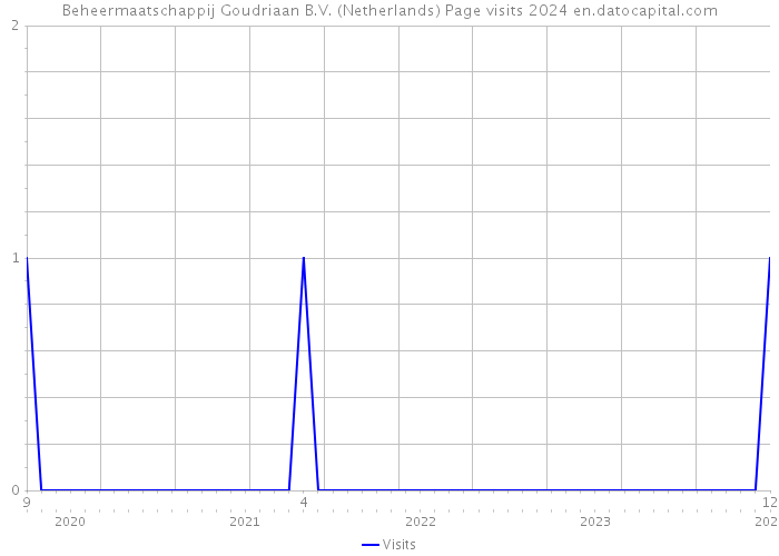 Beheermaatschappij Goudriaan B.V. (Netherlands) Page visits 2024 