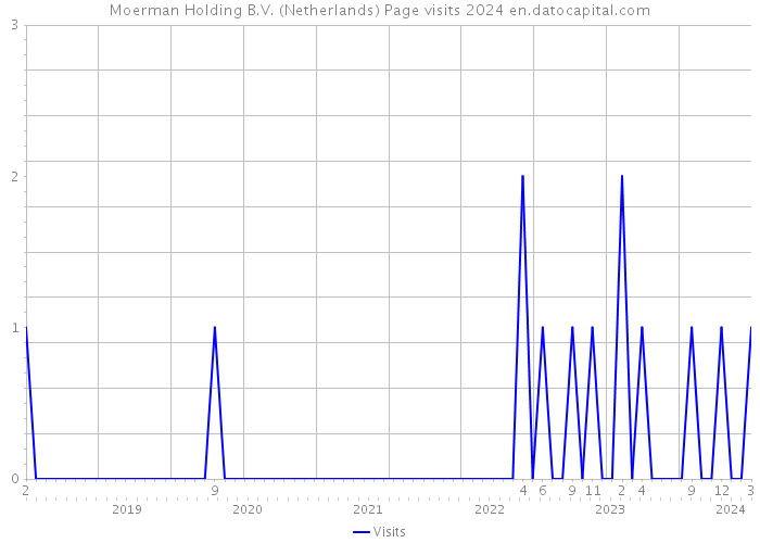 Moerman Holding B.V. (Netherlands) Page visits 2024 