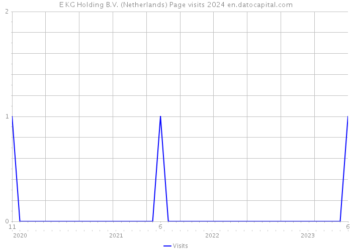 E KG Holding B.V. (Netherlands) Page visits 2024 