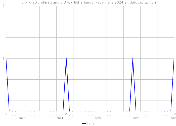 Tol Projectondersteuning B.V. (Netherlands) Page visits 2024 