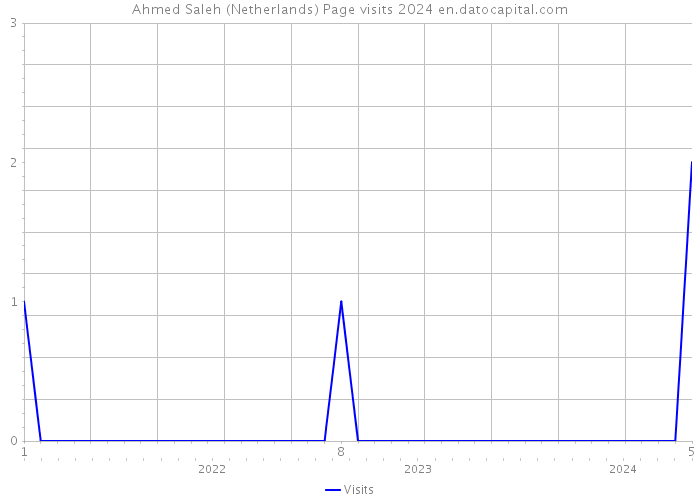 Ahmed Saleh (Netherlands) Page visits 2024 