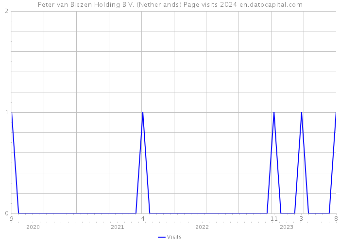 Peter van Biezen Holding B.V. (Netherlands) Page visits 2024 