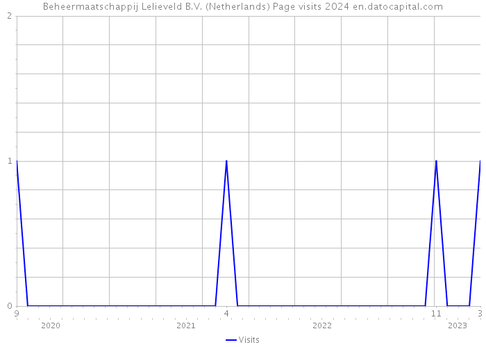 Beheermaatschappij Lelieveld B.V. (Netherlands) Page visits 2024 