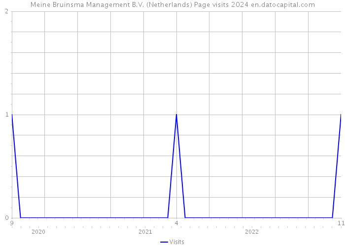 Meine Bruinsma Management B.V. (Netherlands) Page visits 2024 