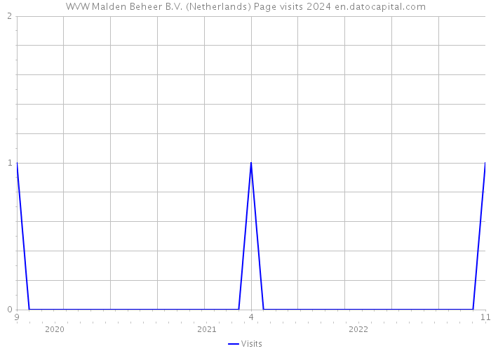 WVW Malden Beheer B.V. (Netherlands) Page visits 2024 