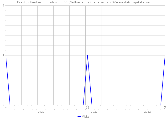 Praktijk Beukering Holding B.V. (Netherlands) Page visits 2024 
