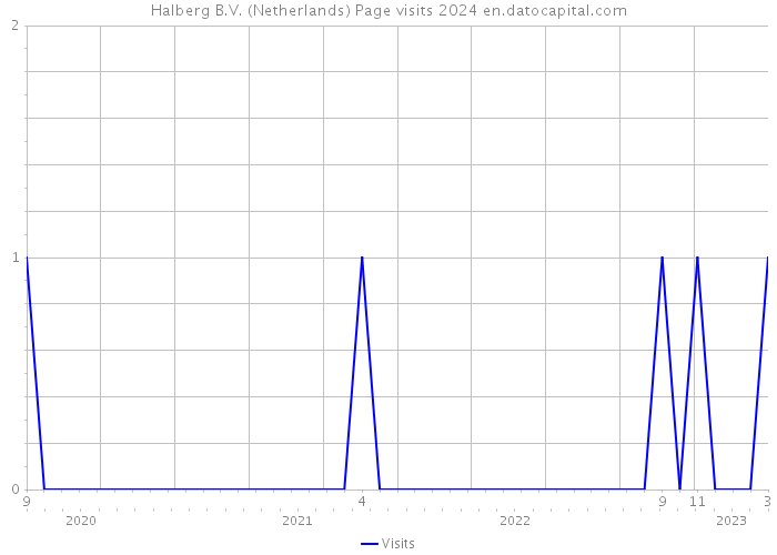 Halberg B.V. (Netherlands) Page visits 2024 