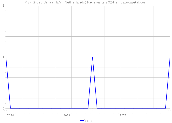 MSP Groep Beheer B.V. (Netherlands) Page visits 2024 