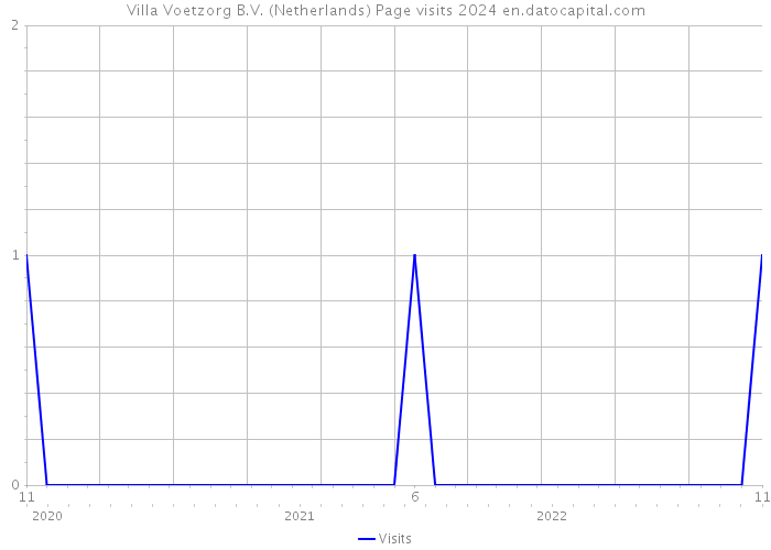 Villa Voetzorg B.V. (Netherlands) Page visits 2024 
