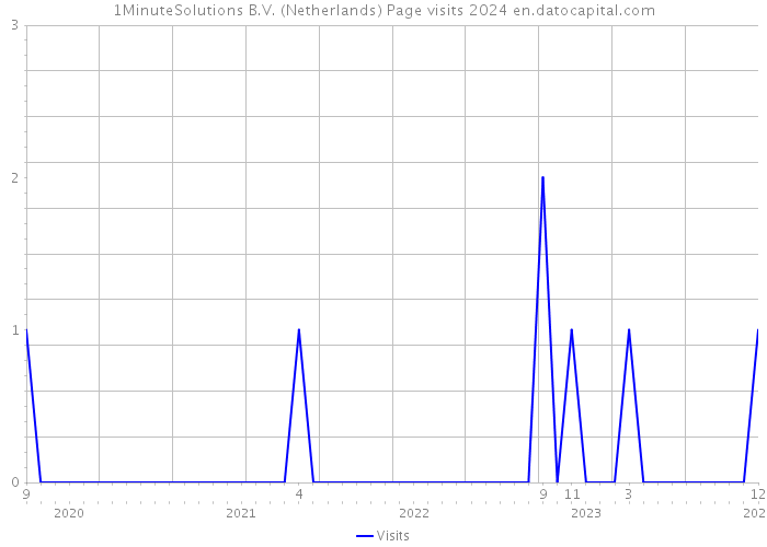 1MinuteSolutions B.V. (Netherlands) Page visits 2024 
