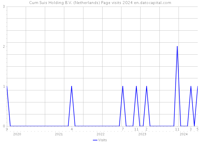 Cum Suis Holding B.V. (Netherlands) Page visits 2024 