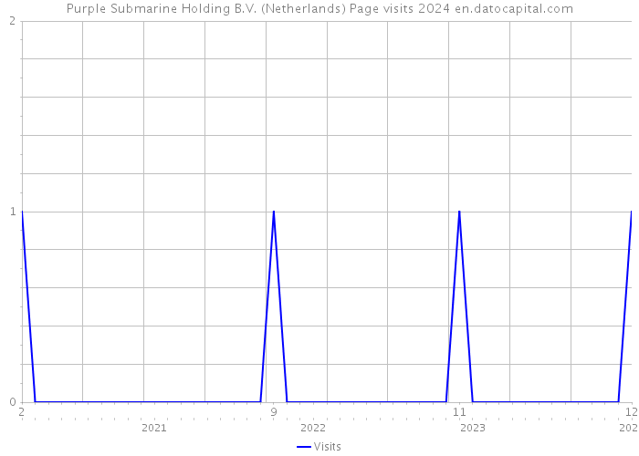 Purple Submarine Holding B.V. (Netherlands) Page visits 2024 
