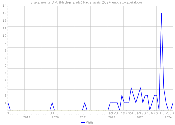 Bracamonte B.V. (Netherlands) Page visits 2024 