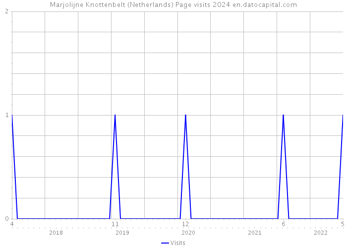 Marjolijne Knottenbelt (Netherlands) Page visits 2024 