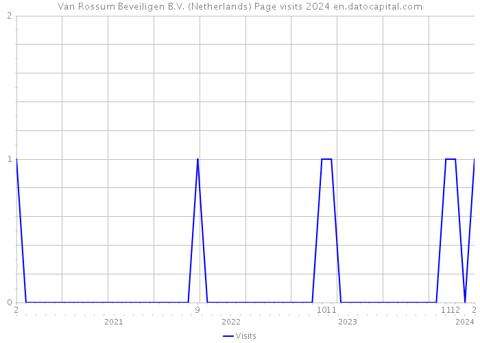 Van Rossum Beveiligen B.V. (Netherlands) Page visits 2024 