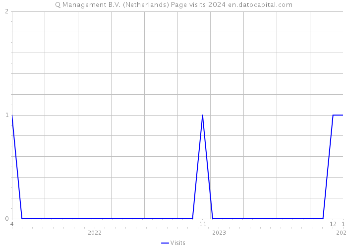 Q Management B.V. (Netherlands) Page visits 2024 