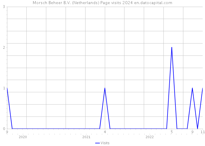 Morsch Beheer B.V. (Netherlands) Page visits 2024 