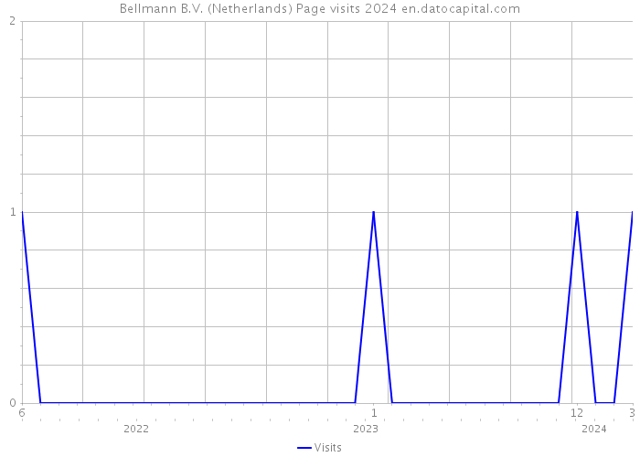 Bellmann B.V. (Netherlands) Page visits 2024 