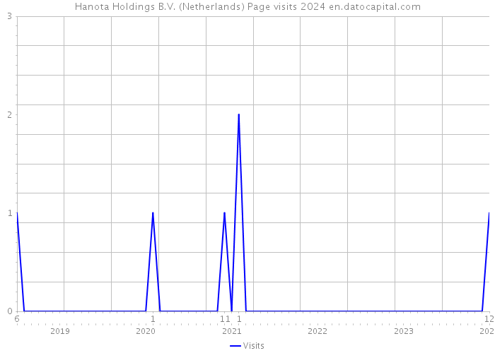 Hanota Holdings B.V. (Netherlands) Page visits 2024 