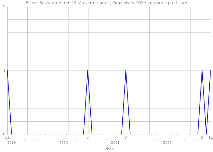 Bieser Bouw en Handel B.V. (Netherlands) Page visits 2024 
