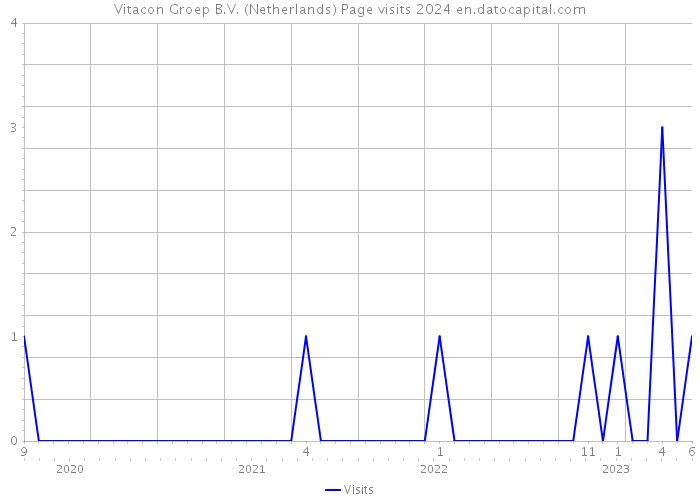 Vitacon Groep B.V. (Netherlands) Page visits 2024 