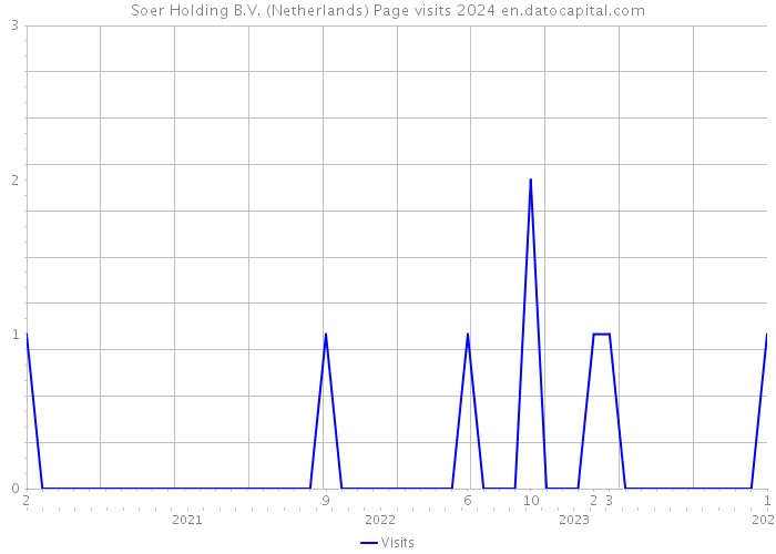 Soer Holding B.V. (Netherlands) Page visits 2024 