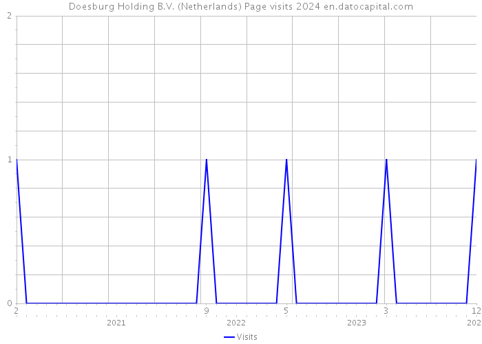 Doesburg Holding B.V. (Netherlands) Page visits 2024 