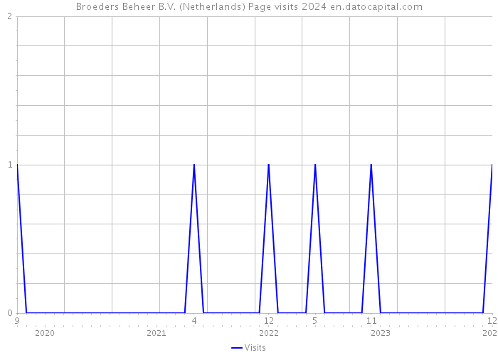 Broeders Beheer B.V. (Netherlands) Page visits 2024 