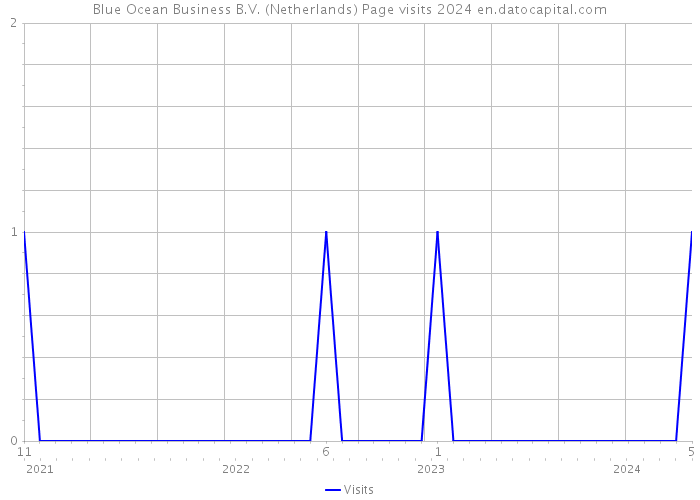 Blue Ocean Business B.V. (Netherlands) Page visits 2024 