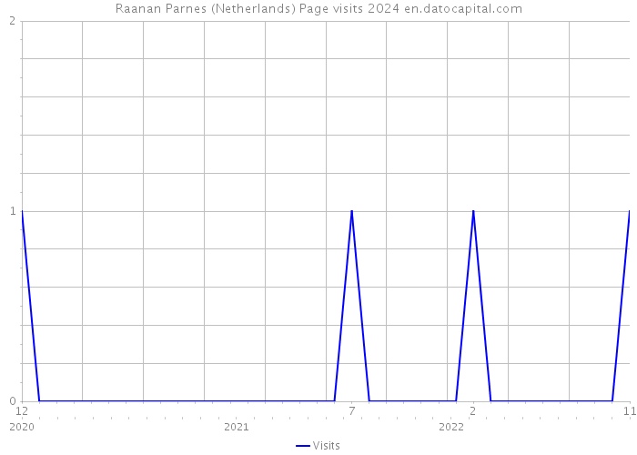Raanan Parnes (Netherlands) Page visits 2024 