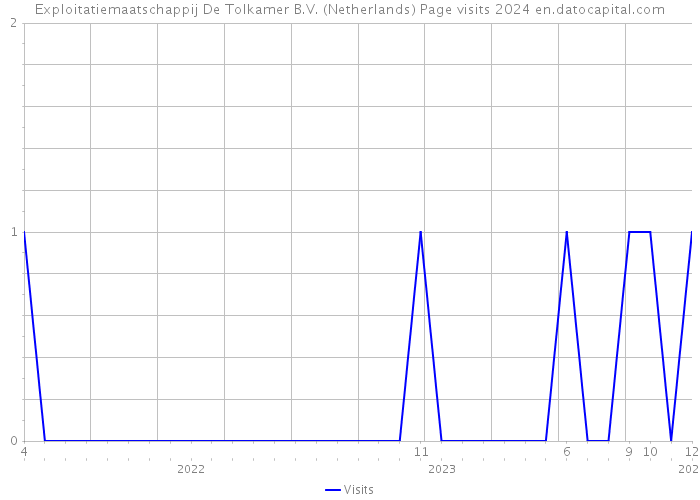 Exploitatiemaatschappij De Tolkamer B.V. (Netherlands) Page visits 2024 