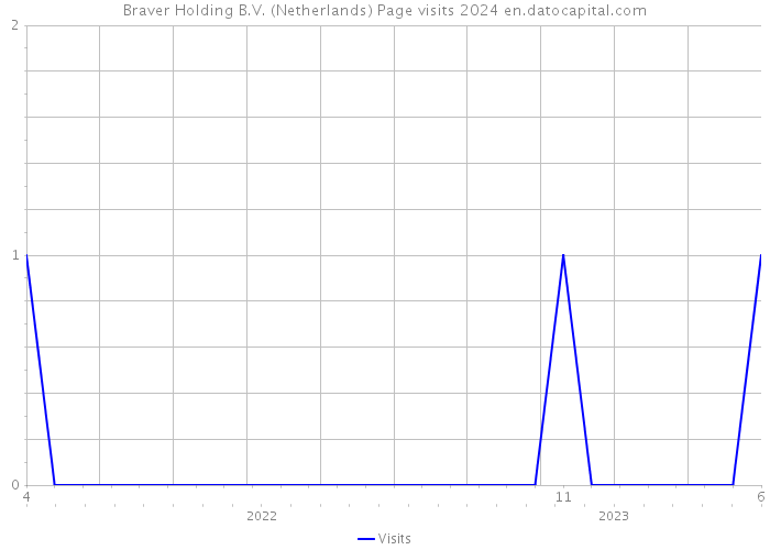 Braver Holding B.V. (Netherlands) Page visits 2024 