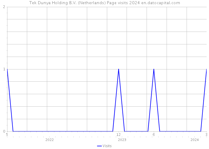 Tek Dunya Holding B.V. (Netherlands) Page visits 2024 